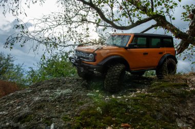 Ormanda telsiz kontrol arabasıyla yürüyorum.