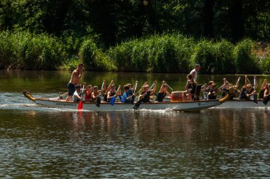 ejderha botu festivali, ejderha botu festivali, ejderha botu festivali,