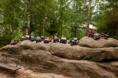 Dağlardaki ormandaki dağ bisikleti.