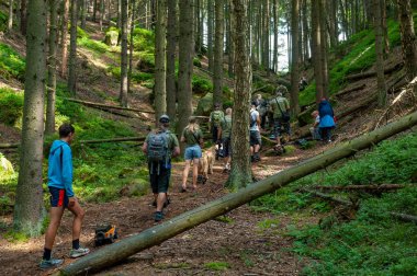 R.C. Araba Seferi Pratiği Rock