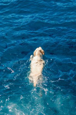 Adriyatik Denizi üzerinde seyir