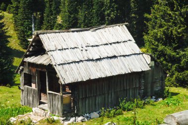 Slovenya Ulusal Parkları 'nda geziniyor.