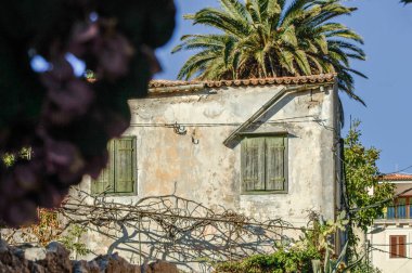 Slovenya Ulusal Parkları 'nda geziniyor.