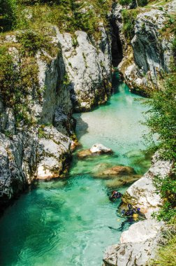 Slovenya Ulusal Parkları 'nda geziniyor.