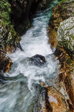 Slovenya Ulusal Parkları 'nda geziniyor.