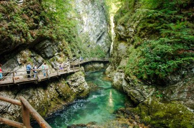 Slovenya Ulusal Parkları 'nda geziniyor.