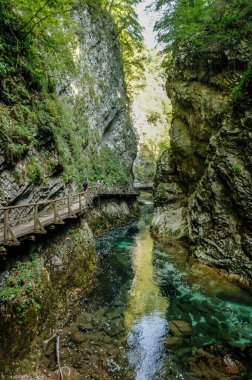 Slovenya Ulusal Parkları 'nda geziniyor.