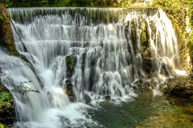 Slovenya Ulusal Parkları 'nda geziniyor.