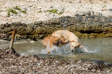 Adriyatik Denizi üzerinde seyir 