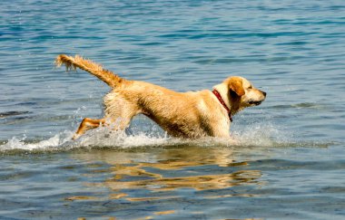 Adriyatik Denizi üzerinde seyir 