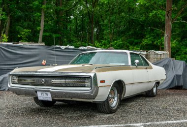 Parkta arka arkaya park etmiş arabalar.