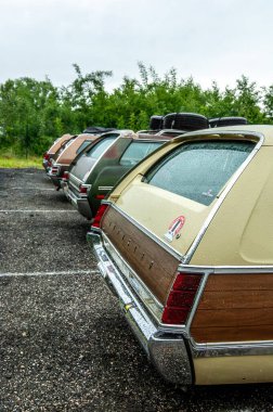 Parkta arka arkaya park etmiş arabalar.