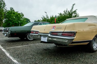 Parkta arka arkaya park etmiş arabalar.