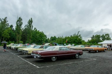 Parkta arka arkaya park etmiş arabalar.