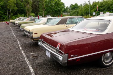 Parkta arka arkaya park etmiş arabalar.