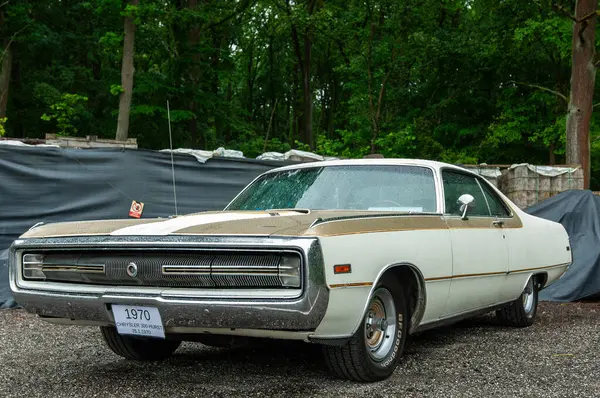 Parkta arka arkaya park etmiş arabalar.