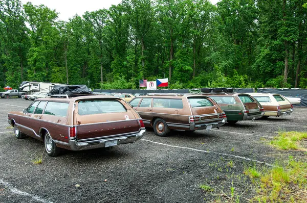 Parkta arka arkaya park etmiş arabalar.