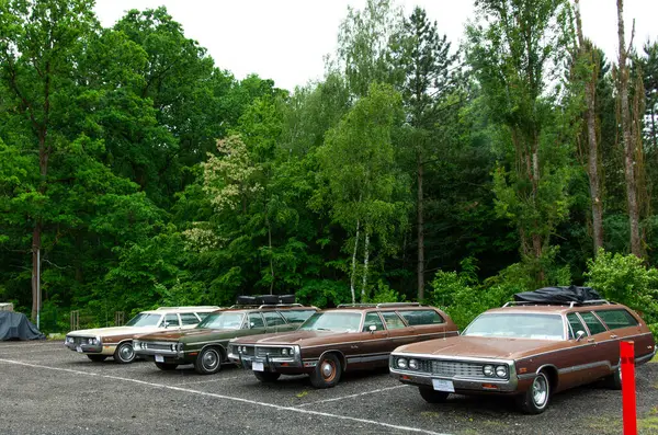 Parkta arka arkaya park etmiş arabalar.