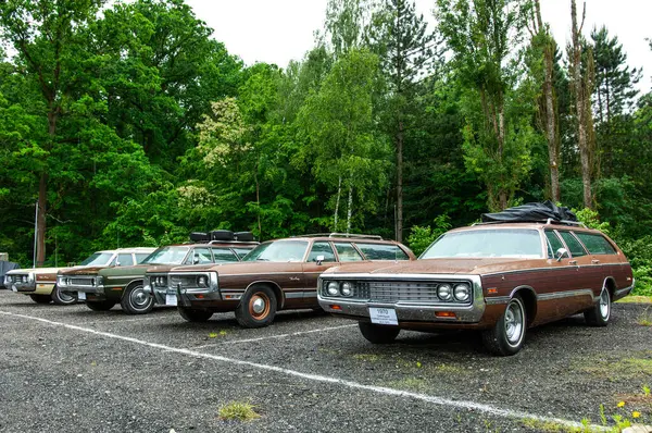 Parkta arka arkaya park etmiş arabalar.