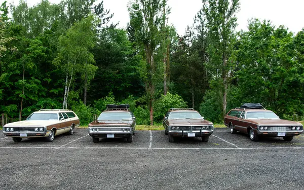 Parkta arka arkaya park etmiş arabalar.