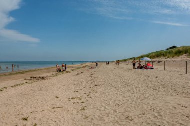 Yazın kumlu sahil manzarası