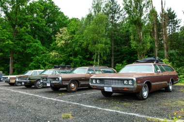 Eski paslı arabalar ormanda yere park edilmiş..