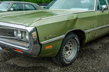 Yeşil yapraklı klasik bir araba.