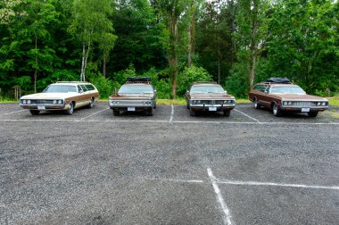 Ormana park etmiş arabalar.