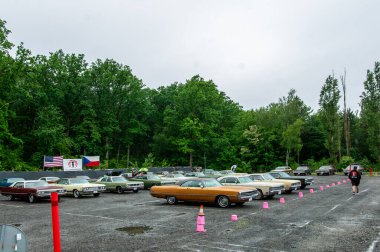 Hollanda 'daki parkın şehri.