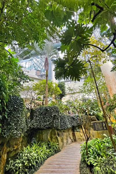 Vertical green plants and waterfall in indoor waterfall