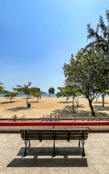 Вертикальний Пляж Кілька Зелених Дерев Океан Дерев Яна Лавка Гонконзі — стокове фото