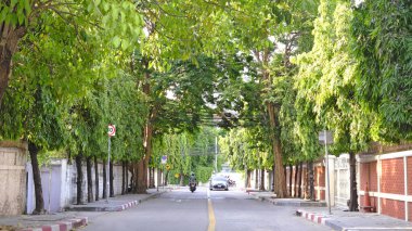 Tayland Bangkok 'taki şehir manzarası. Arabalı, gündüz vakti motosikletli.