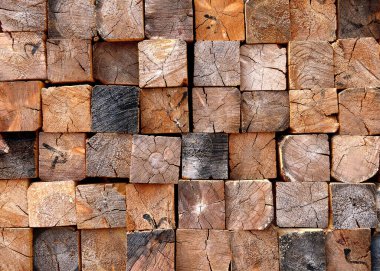 Ahşap desenli arka plan farklı doku, şekil ve renklerde