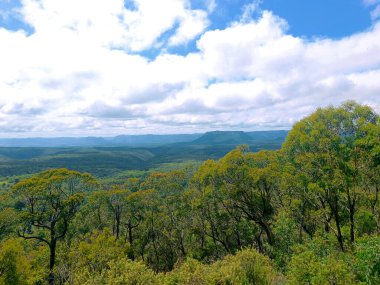 Dağlar, ağaçlar Avustralya 'nın kırsal kesimindeki halk parkı Sydney