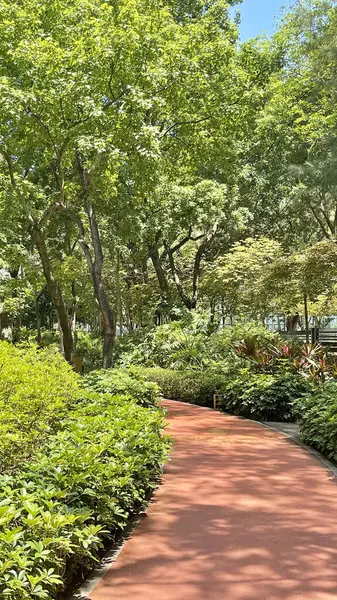 Dikey koşu ve kırmızı açık hava pisti yeşil bitkiler ve ağaçla