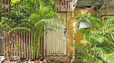 Yeşil bitki dekorasyonlu, sarı duvarlı, kapı zilli retro-retro cafe dükkanı.