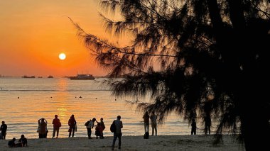 Yatay ağaç silueti, tekne, gün batımında güneşli ve okyanuslu sahilde yaşayan insanlar.