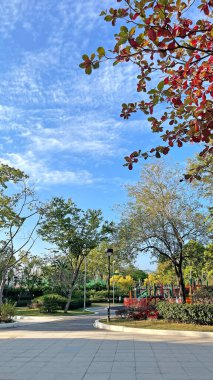 Dikey açık hava parkı, oyun alanı ekipmanlı bahçe ağaçları, beyaz bulut ve mavi gökyüzü.