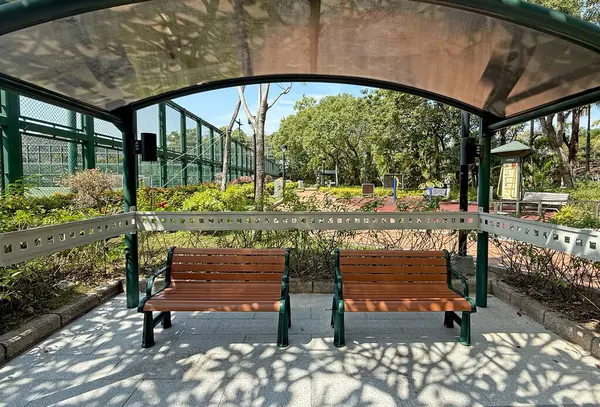 Yatay ahşap bahçe tezgahı. Açık havada egzersiz aletleri. Yeşil bitkiler ve ağaç. 