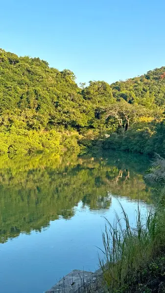 Dikey doğal fotoğrafçılık, ağaçlar, göl ve dağ yansıması