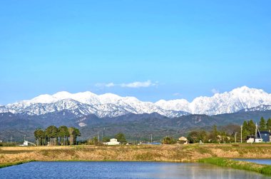 Yeşil tarlalı doğal manzara fotoğrafı, ağaçlar, karlı dağ ve Nagoya Japonya 'da mavi gökyüzü.