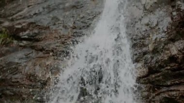 Taze Şelale Şelalesi Şelalesi Yazı akıyor