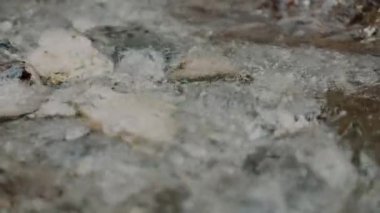 Taze Şelale Şelalesi Şelalesi Yazı akıyor