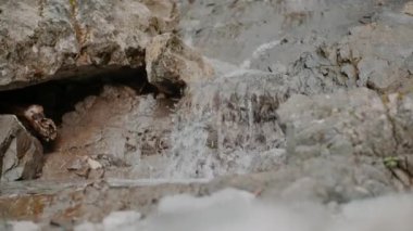 Taze Şelale Şelalesi Şelalesi Yazı akıyor