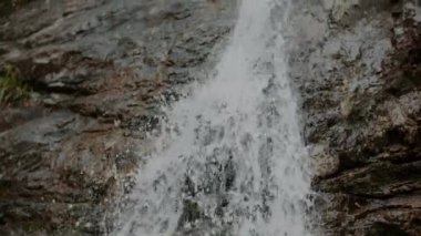 Taze Şelale Şelalesi Şelalesi Yazı akıyor