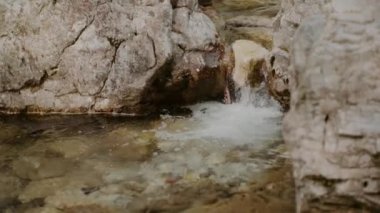 Taze Şelale Şelalesi Şelalesi Yazı akıyor