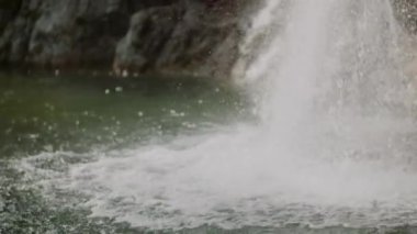 Taze Şelale Şelalesi Şelalesi Yazı akıyor