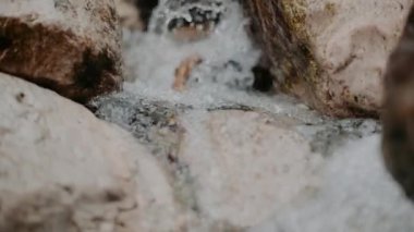 Taze Şelale Şelalesi Şelalesi Yazı akıyor