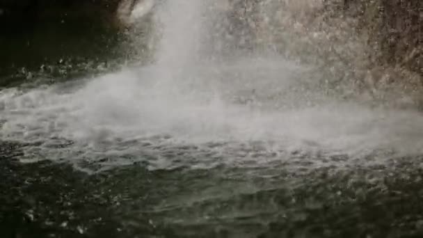 新鮮な滝カスケードストリーム夏を実行 — ストック動画