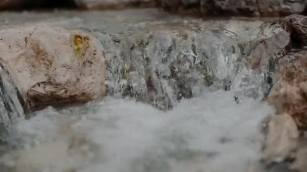 Свіжий Водоспад Каскадний Потік Літо — стокове відео